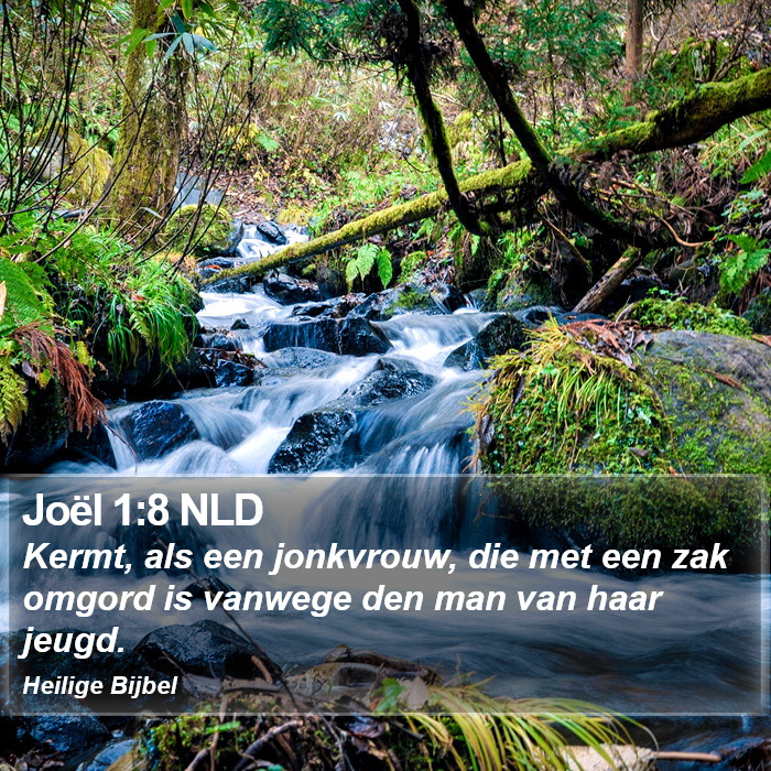 Joël 1:8 NLD Bible Study