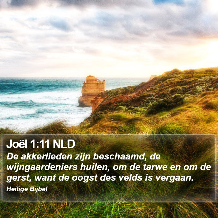 Joël 1:11 NLD Bible Study