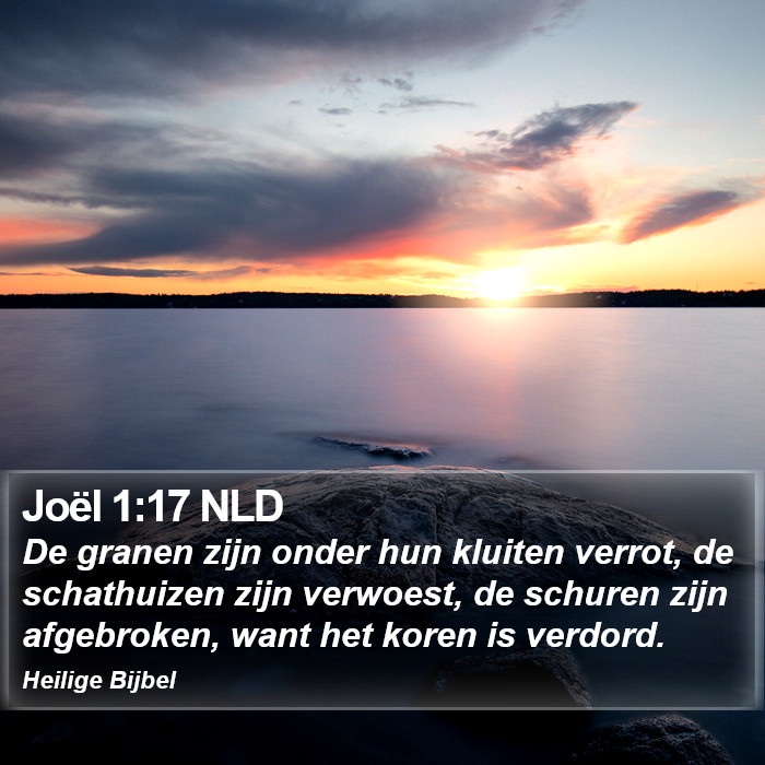 Joël 1:17 NLD Bible Study