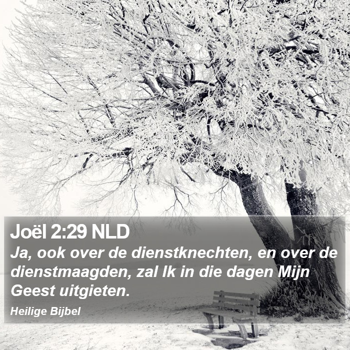 Joël 2:29 NLD Bible Study