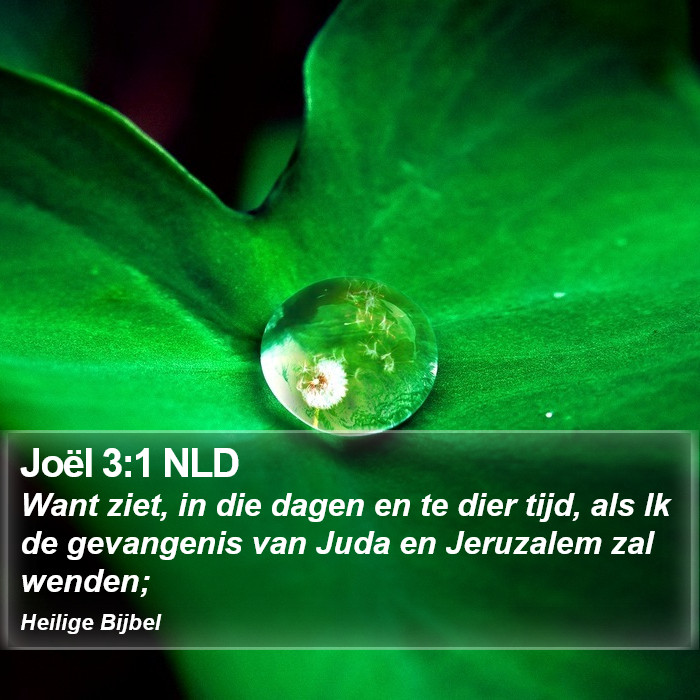 Joël 3:1 NLD Bible Study