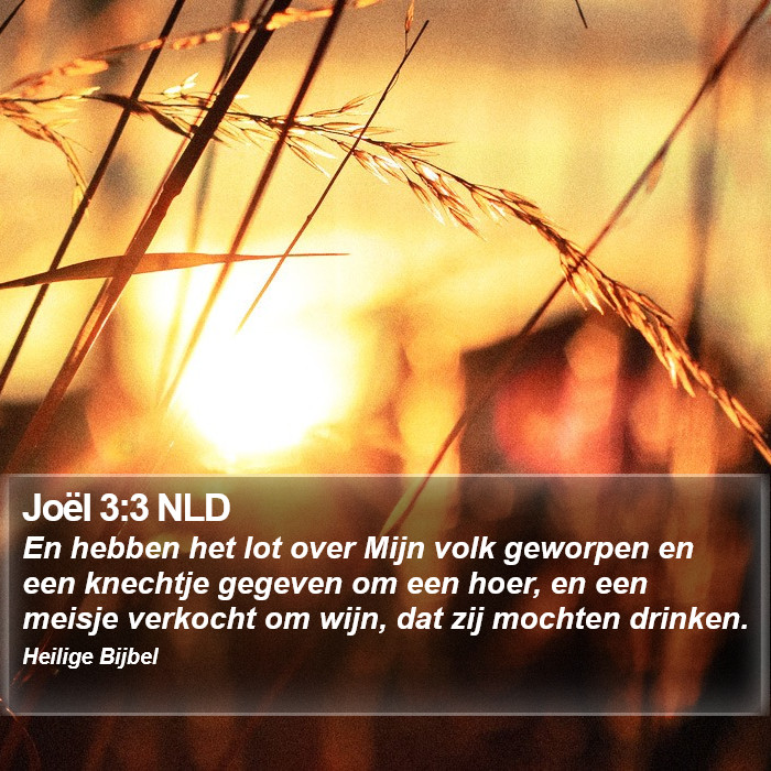 Joël 3:3 NLD Bible Study