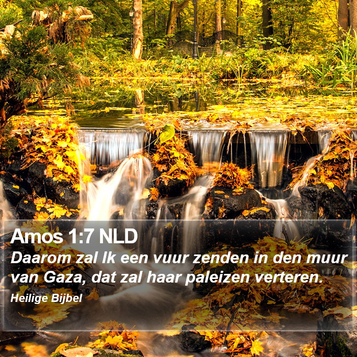 Amos 1:7 NLD Bible Study