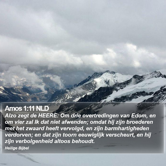 Amos 1:11 NLD Bible Study