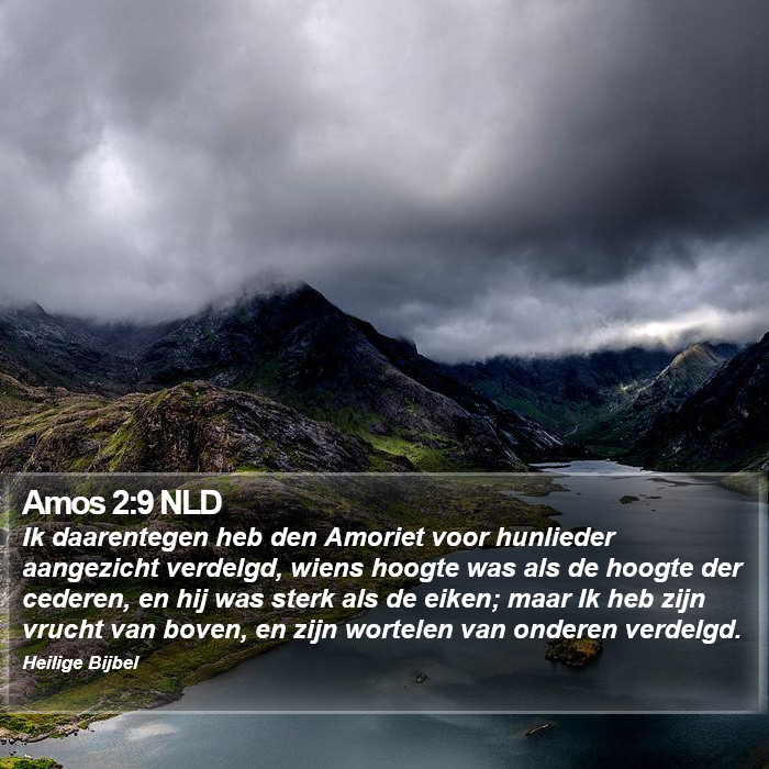 Amos 2:9 NLD Bible Study