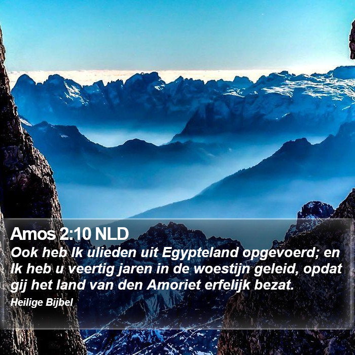 Amos 2:10 NLD Bible Study