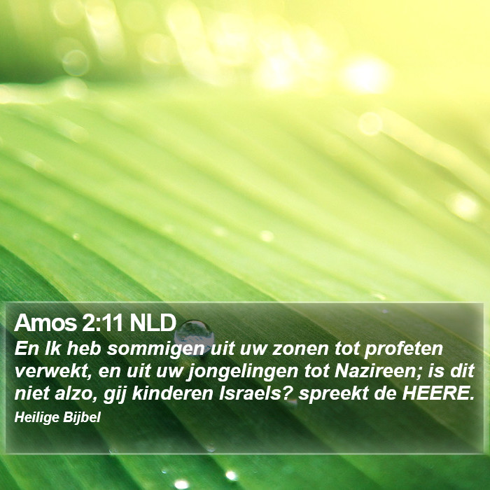 Amos 2:11 NLD Bible Study