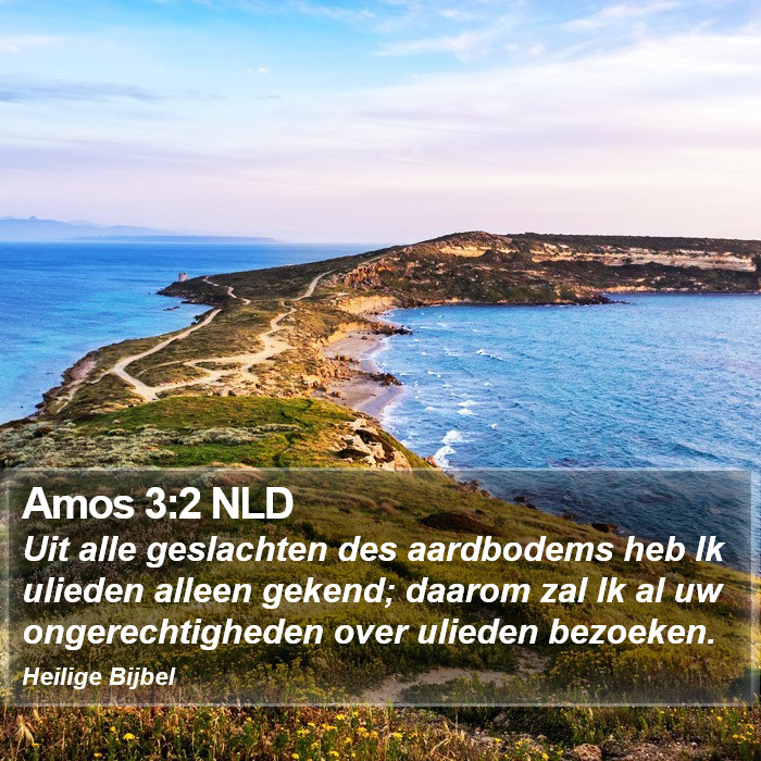 Amos 3:2 NLD Bible Study