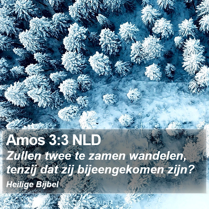 Amos 3:3 NLD Bible Study