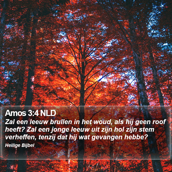 Amos 3:4 NLD Bible Study