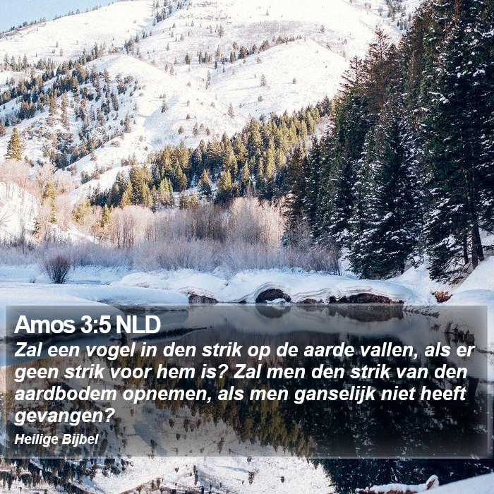 Amos 3:5 NLD Bible Study