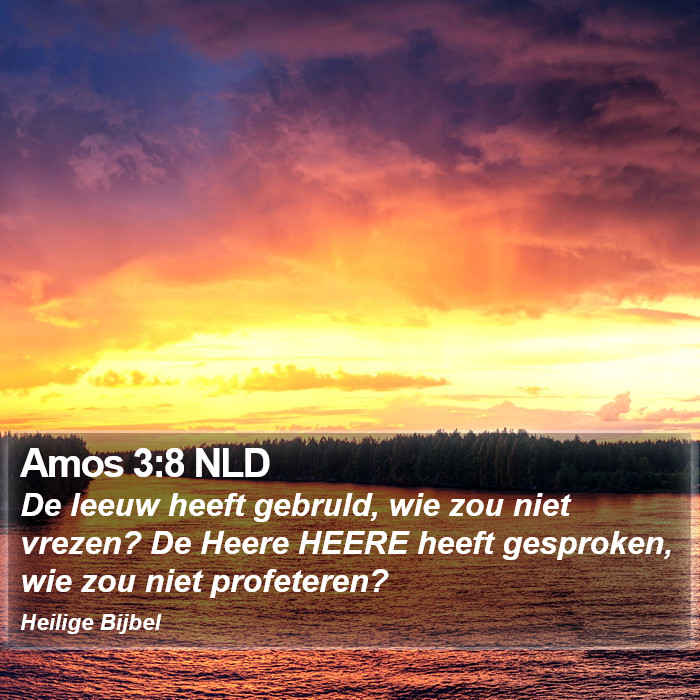 Amos 3:8 NLD Bible Study