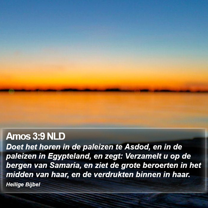 Amos 3:9 NLD Bible Study