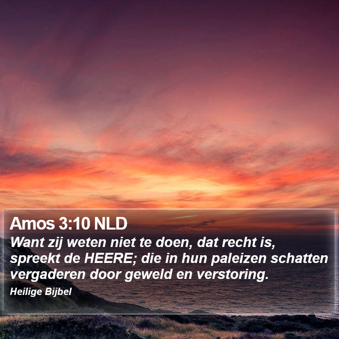 Amos 3:10 NLD Bible Study