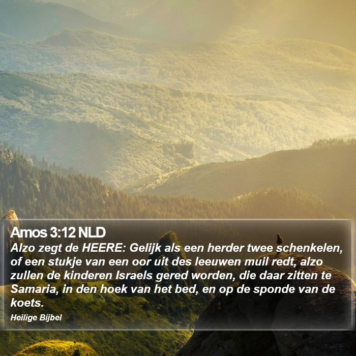 Amos 3:12 NLD Bible Study