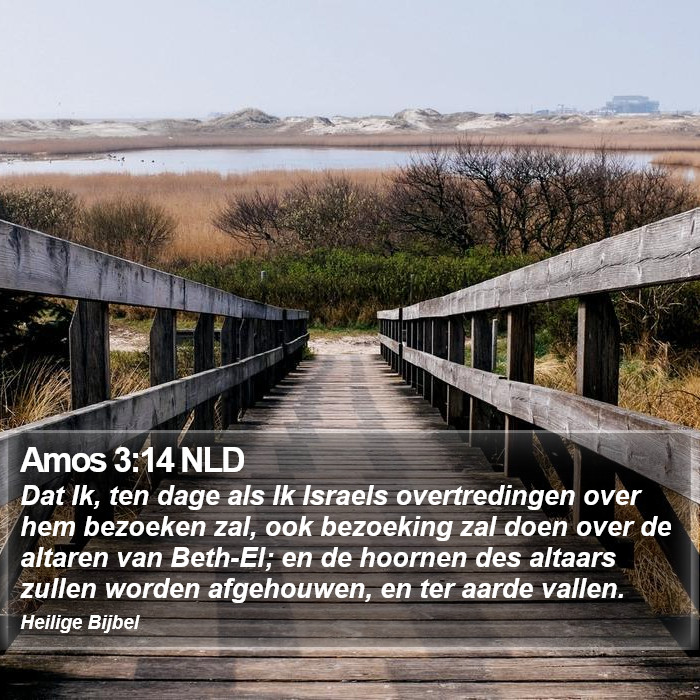Amos 3:14 NLD Bible Study