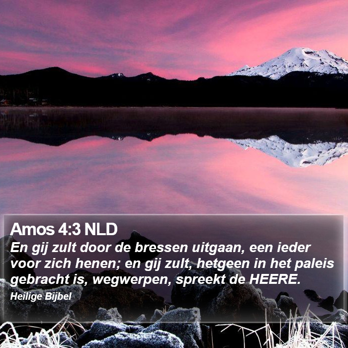 Amos 4:3 NLD Bible Study