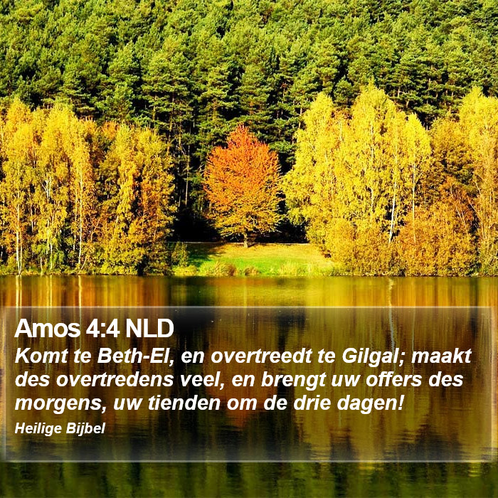 Amos 4:4 NLD Bible Study