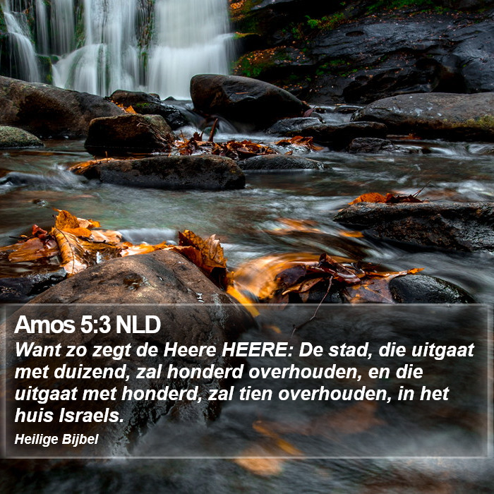 Amos 5:3 NLD Bible Study