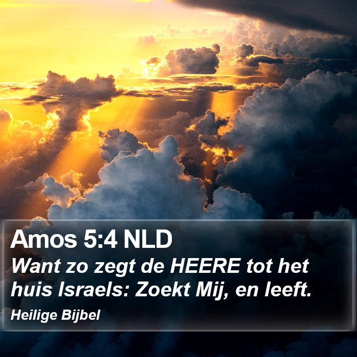 Amos 5:4 NLD Bible Study