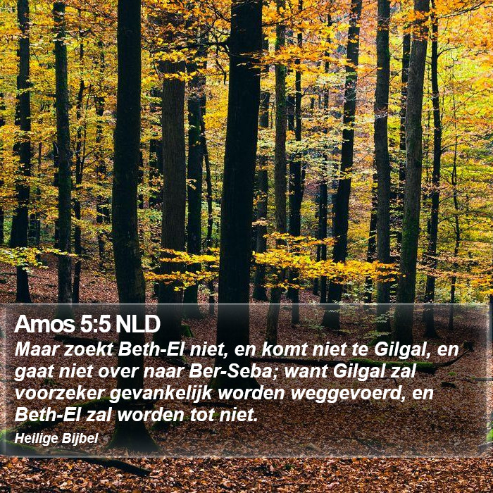 Amos 5:5 NLD Bible Study