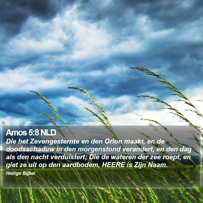 Amos 5:8 NLD Bible Study