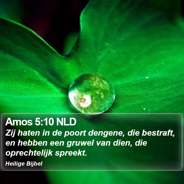 Amos 5:10 NLD Bible Study