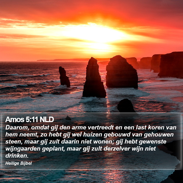 Amos 5:11 NLD Bible Study