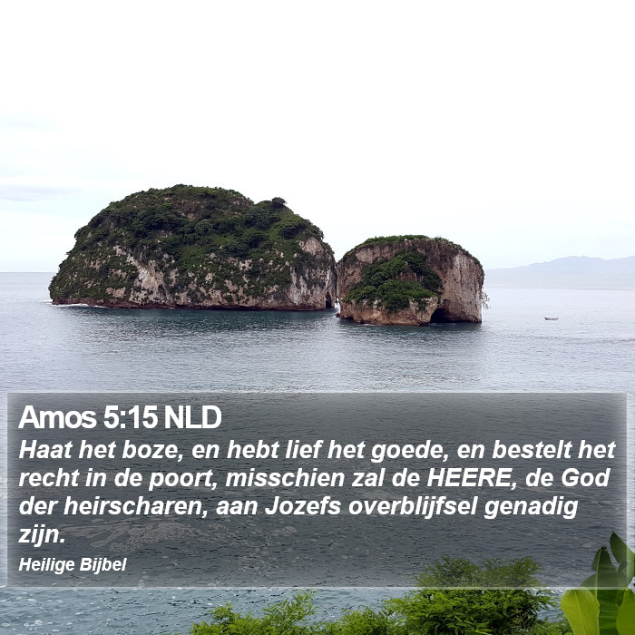 Amos 5:15 NLD Bible Study