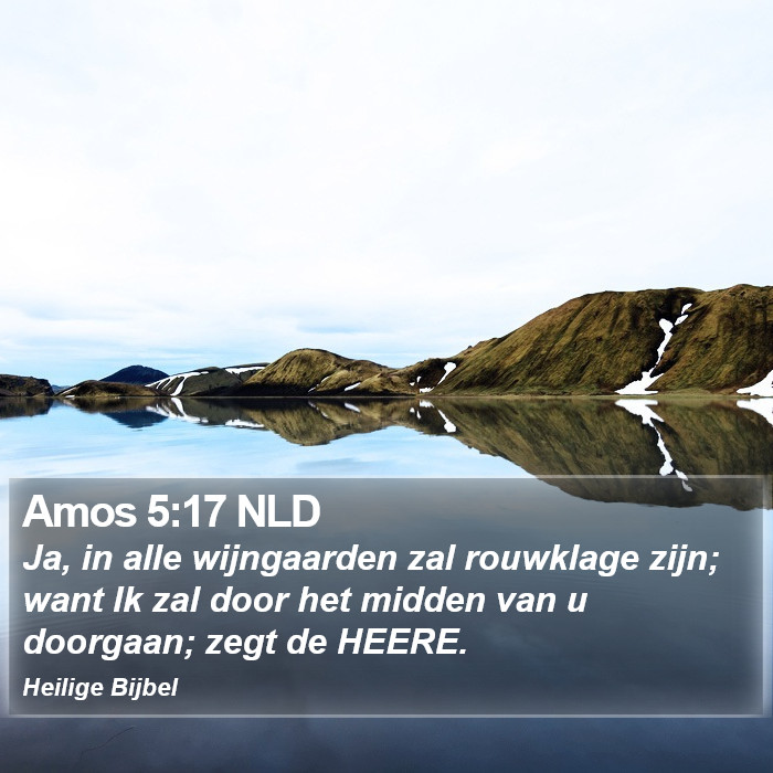 Amos 5:17 NLD Bible Study