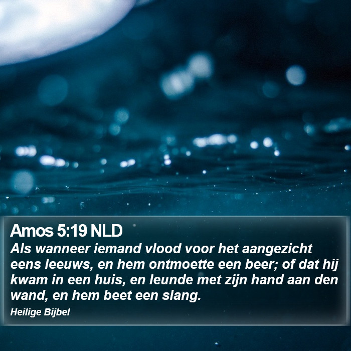 Amos 5:19 NLD Bible Study