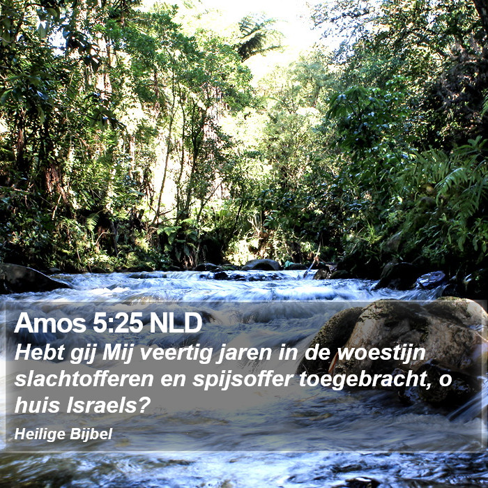 Amos 5:25 NLD Bible Study