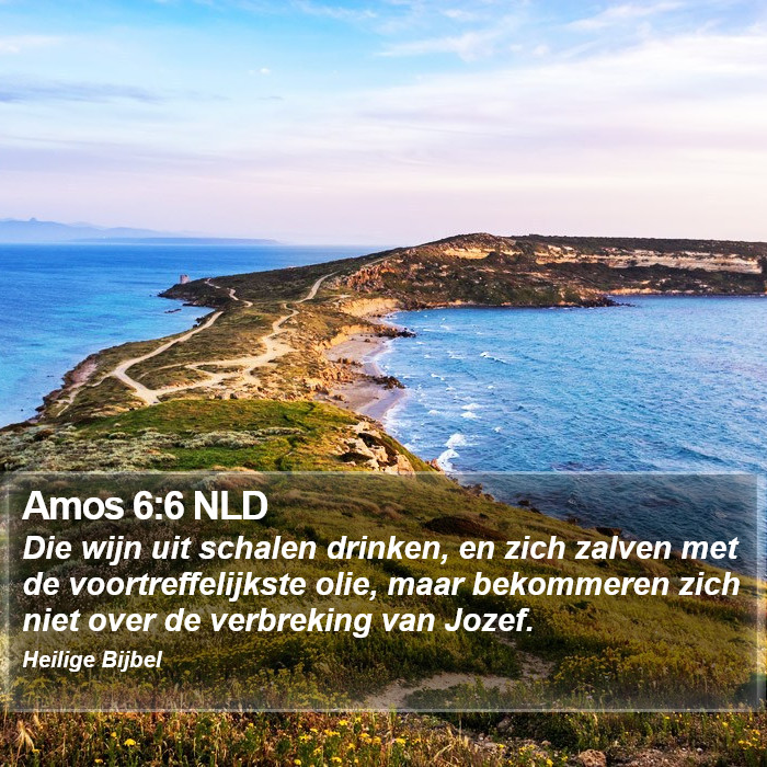 Amos 6:6 NLD Bible Study