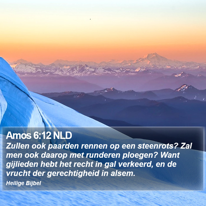 Amos 6:12 NLD Bible Study