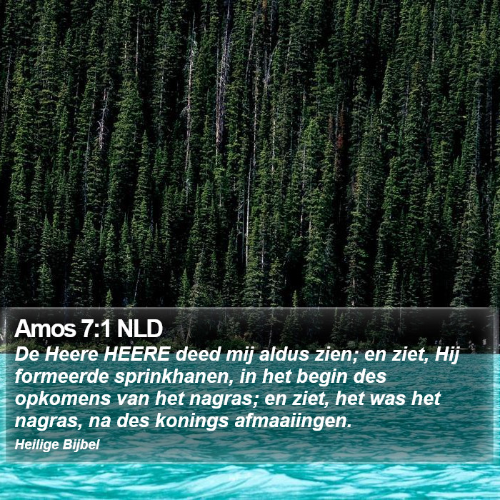 Amos 7:1 NLD Bible Study