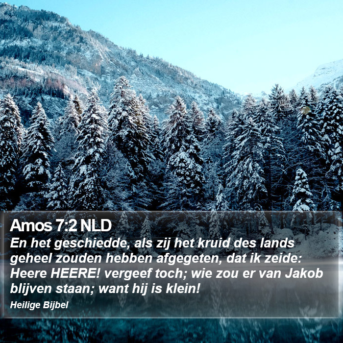Amos 7:2 NLD Bible Study