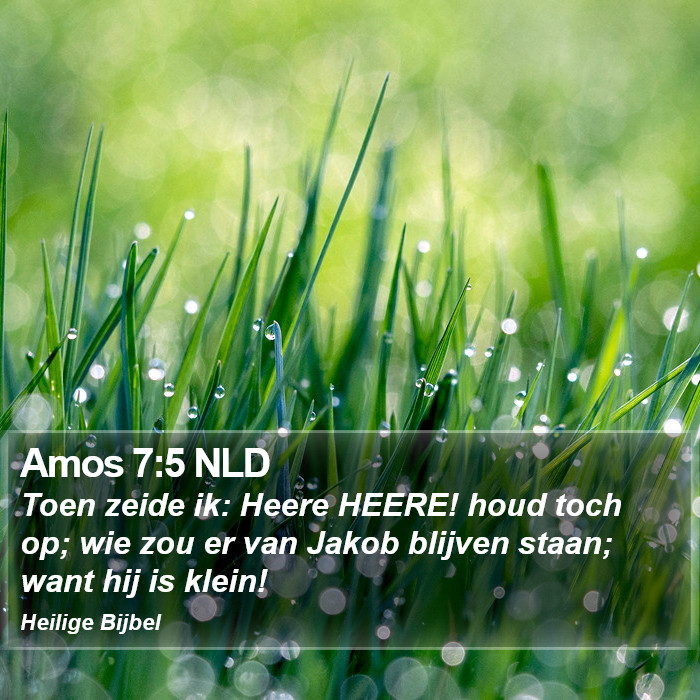 Amos 7:5 NLD Bible Study