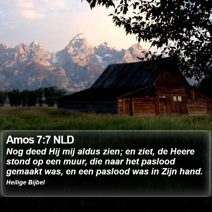 Amos 7:7 NLD Bible Study