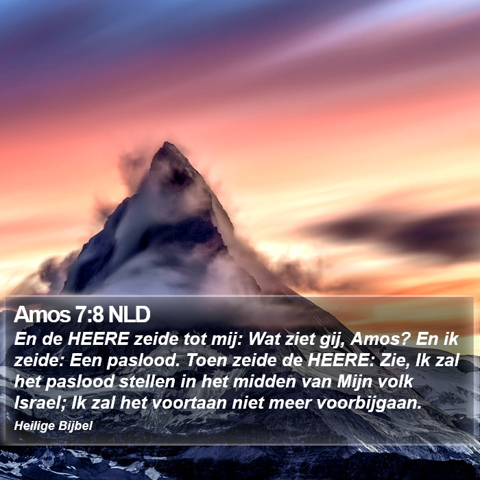 Amos 7:8 NLD Bible Study