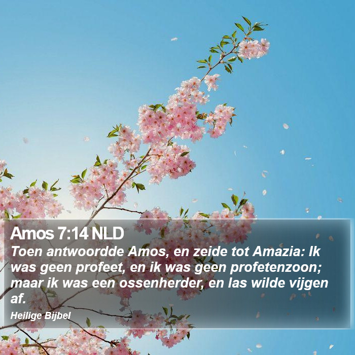 Amos 7:14 NLD Bible Study