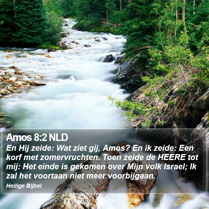 Amos 8:2 NLD Bible Study