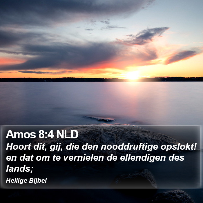 Amos 8:4 NLD Bible Study
