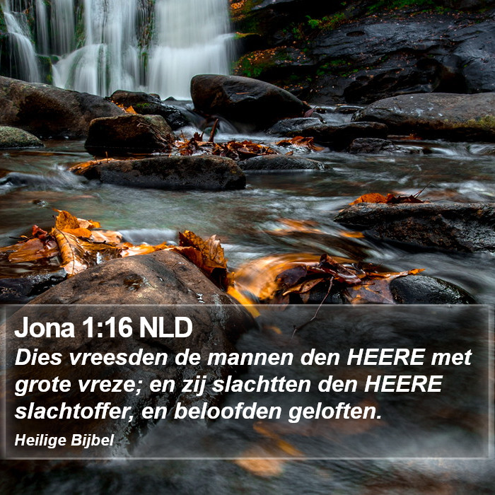 Jona 1:16 NLD Bible Study