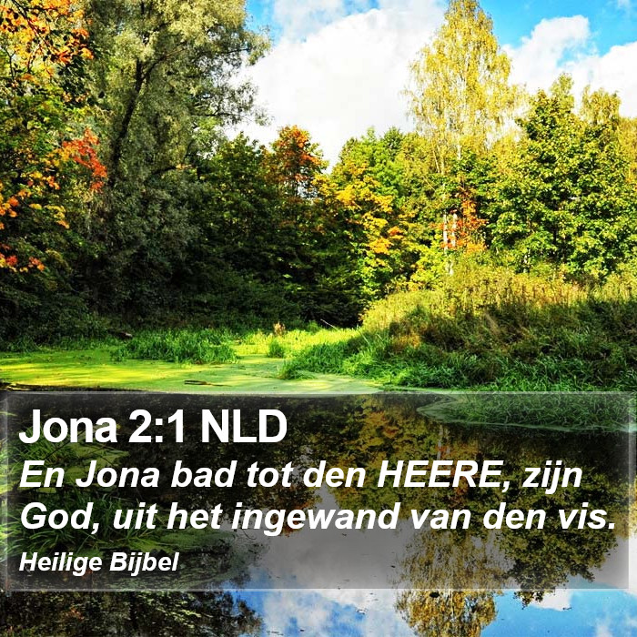 Jona 2:1 NLD Bible Study