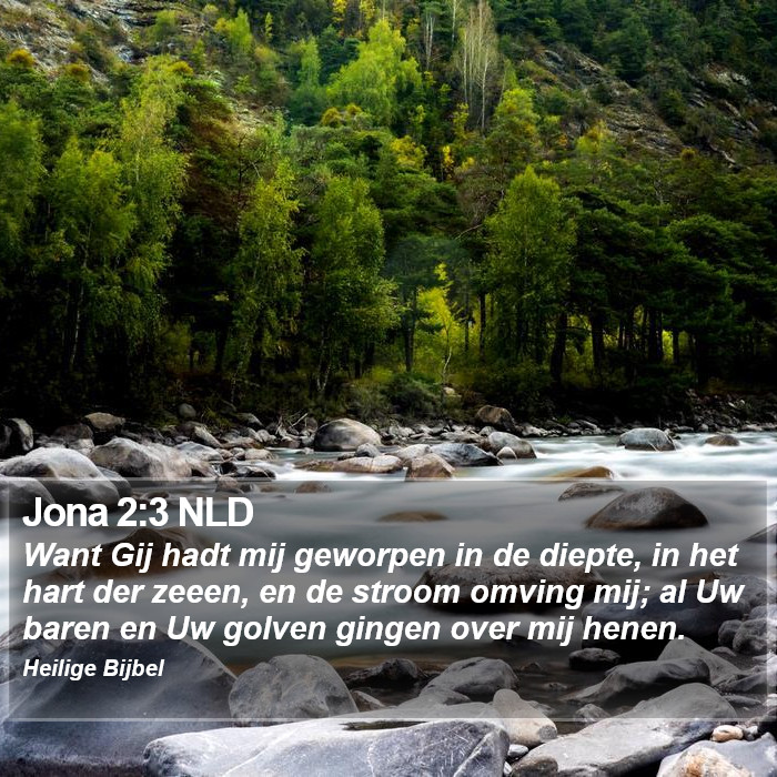 Jona 2:3 NLD Bible Study