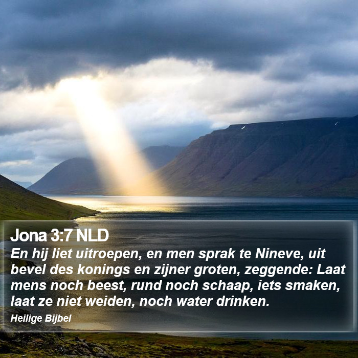 Jona 3:7 NLD Bible Study