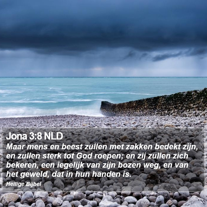 Jona 3:8 NLD Bible Study