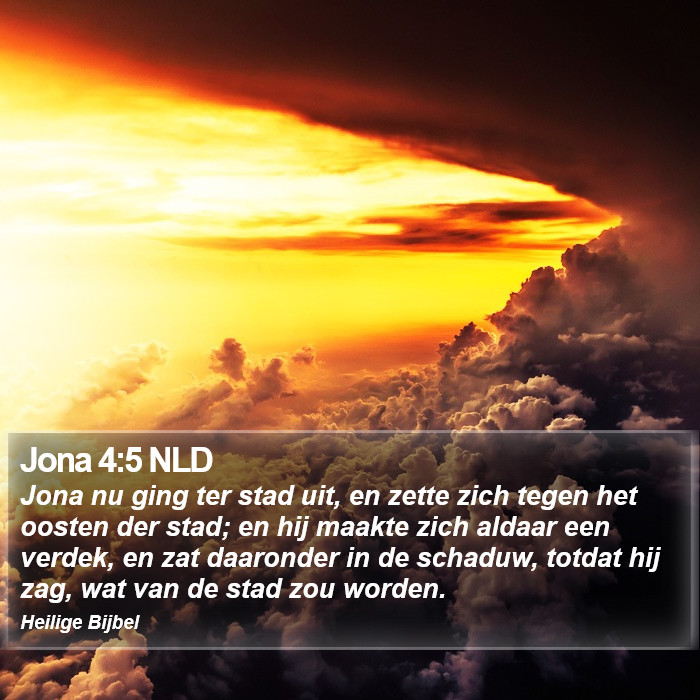 Jona 4:5 NLD Bible Study