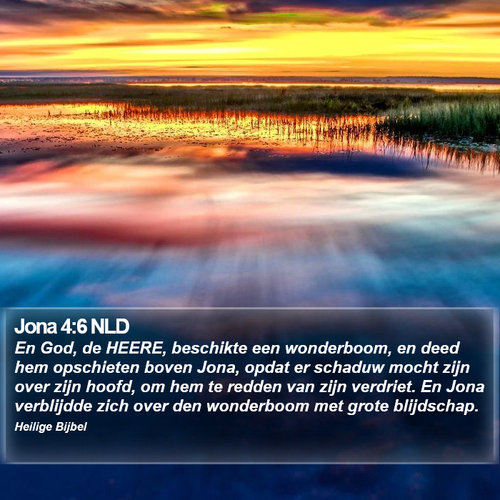 Jona 4:6 NLD Bible Study