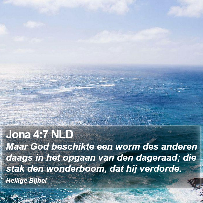 Jona 4:7 NLD Bible Study